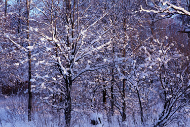 Similar image 418251