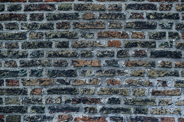 Similar image 418252