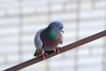 Similar image 418269