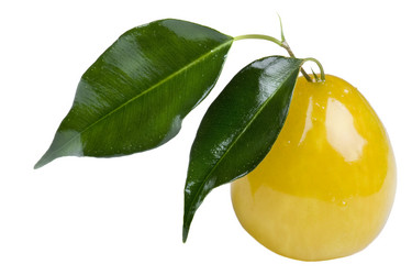 Similar image 418357