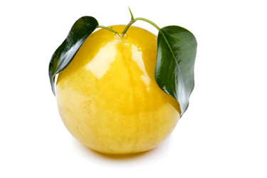 Similar image 418359