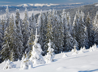 Similar image 418448