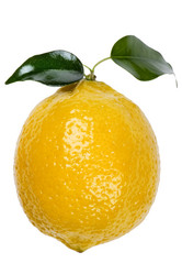 Similar image 418491