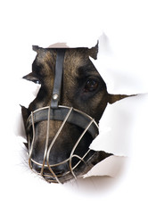 Similar image 418547