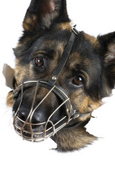 Similar image 418551