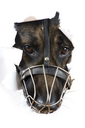 Similar image 418553