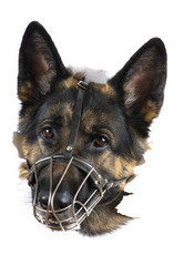 Similar image 418556