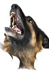 Similar image 418560