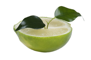 Similar image 418585