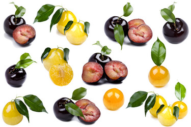 Similar image 418635