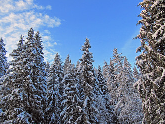 Similar image 418644