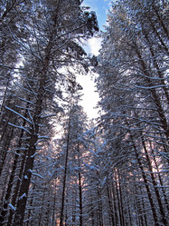 Similar image 418645