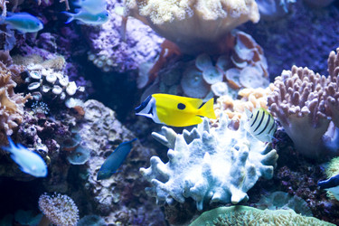 Similar image 418913