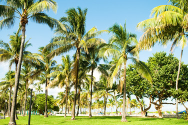 Similar image 418991