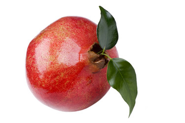 Similar image 419124