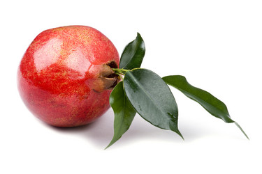 Similar image 419126