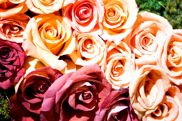 Similar image 419165