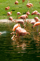 Similar image 419180