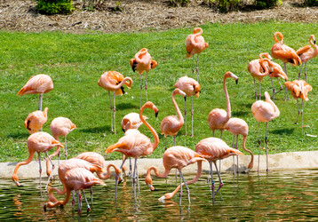 Similar image 419185