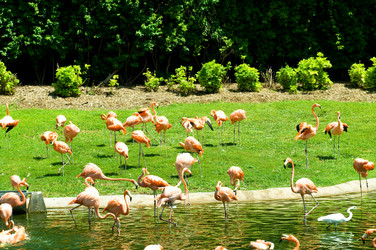 Similar image 419187