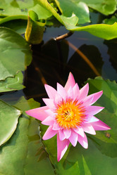 Similar image 419433