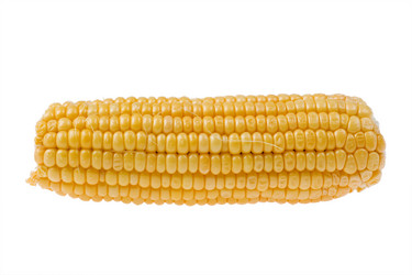 Similar image 419517