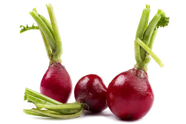 Similar image 419544