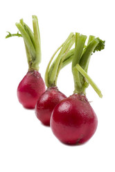 Similar image 419546