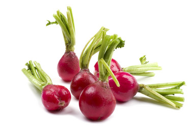 Similar image 419549