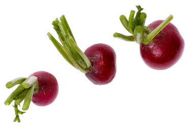 Similar image 419553