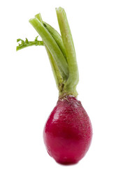 Similar image 419555