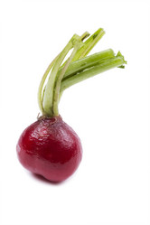 Similar image 419556