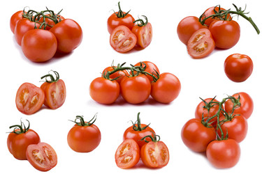 Similar image 419558