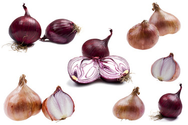 Similar image 419569