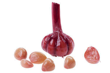 Similar image 419579