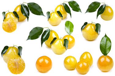 Similar image 419602