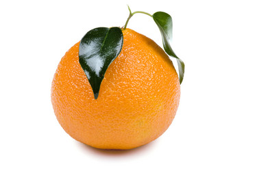 Similar image 419624