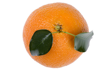 Similar image 419629