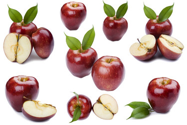 Similar image 419638