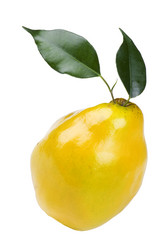 Similar image 419648