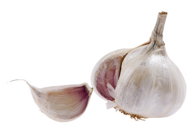 Similar image 419652