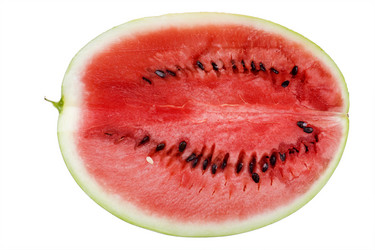 Similar image 419658