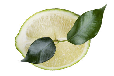 Similar image 419729