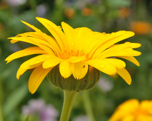 Similar image 419917