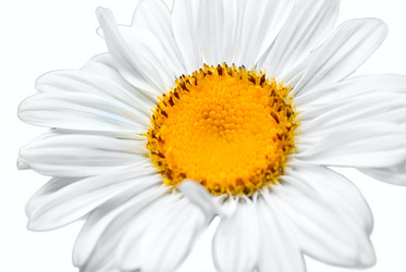 Similar image 419930