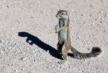 Similar image 419957