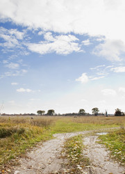 Similar image 419972