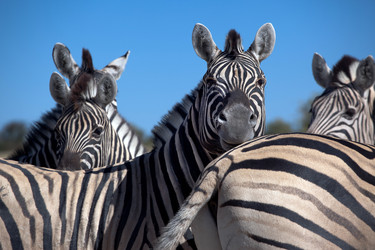 Similar image 420080