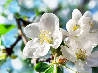 Similar image 420086