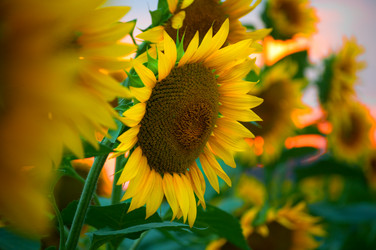 Similar image 420096